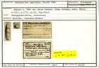 Karteikarte zum Holotyp von Marginulina angistoma Stache, 1864